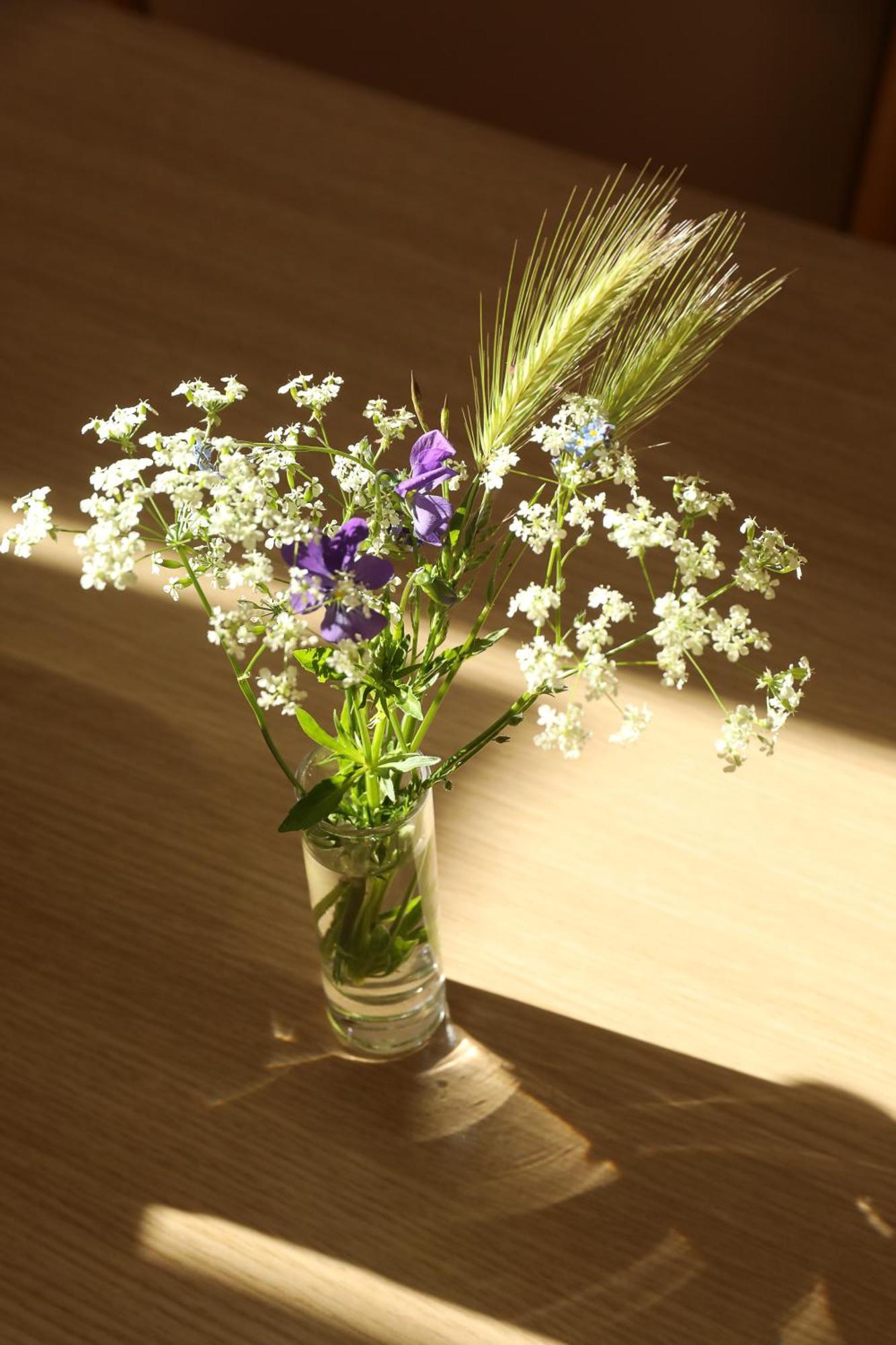 Logis Hotel Spa Restaurant Le Provence Lanarce Zewnętrze zdjęcie