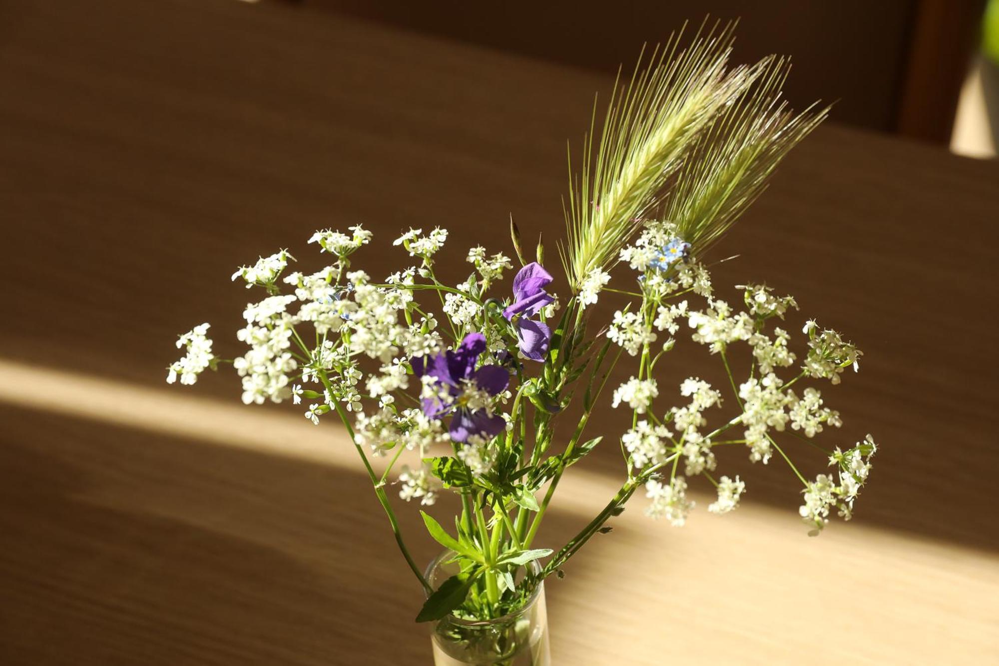 Logis Hotel Spa Restaurant Le Provence Lanarce Zewnętrze zdjęcie